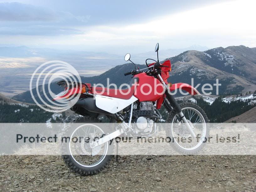 XR650L D952 or Maxxis Desert IT Rear Tire? XR600/650 ThumperTalk